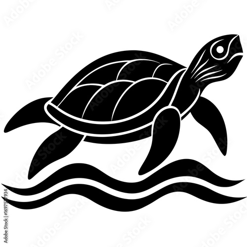 vector illustration of turtle