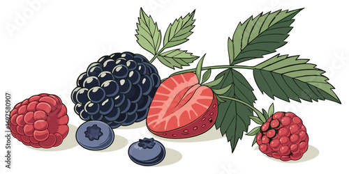 A high-resolution image of assorted fresh berries and green leaves arranged on a white background. The berries include blackberries, raspberries, blueberries, and strawberries, all appearing plump and