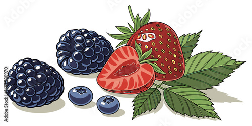 A high-resolution image of assorted fresh berries and green leaves arranged on a white background. The berries include blackberries, raspberries, blueberries, and strawberries, all appearing plump and