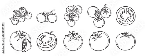 Tomato vegetable sketch doodle hand drawn icon set. Outline drawing fresh tomato line clipart symbol