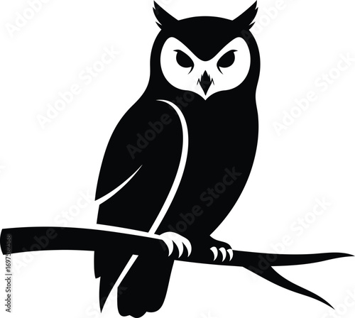 owl sitting on branch