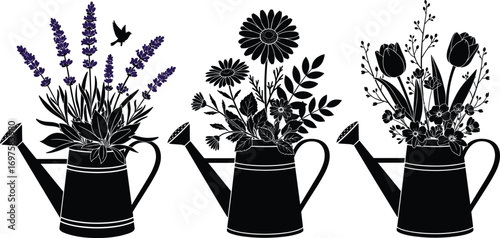 Floral watering can illustration, spring flowers in pots, black and white silhouette with lavender, daisy, tulip, garden decor vector