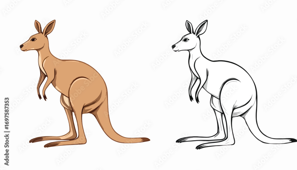 Fototapeta premium Kangaroo Clipart with Colored and Outline Versions | Wildlife Drawing Templates for Kids and Crafts