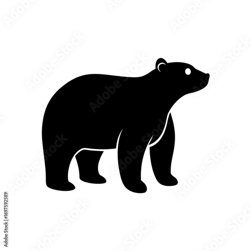 silhouette of bear