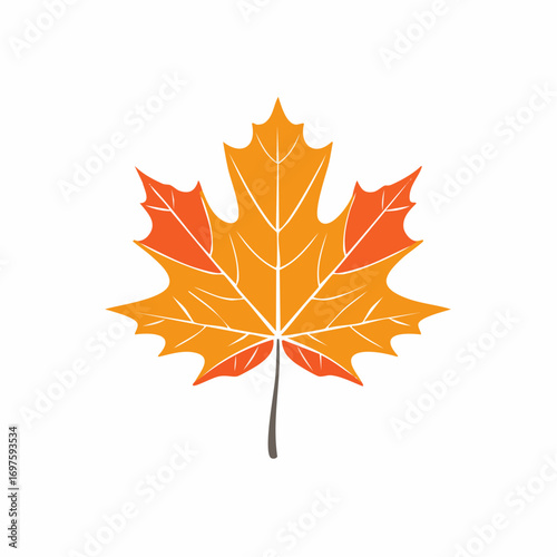 Autumn Leaf Vector Illustration, A vector illustration of an autumn leaf in warm orange tones, symbolizing fall season, perfect for seasonal designs.