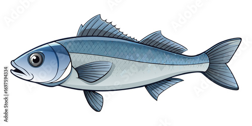 A high-resolution, photorealistic image of a whole European sea bass (Dicentrarchus labrax) isolated on a clean white background. The fish has silvery, metallic scales with a slightly darker bluish-gr