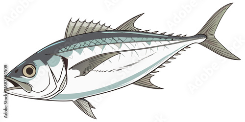 A high-resolution, photorealistic image of a whole European sea bass (Dicentrarchus labrax) isolated on a clean white background. The fish has silvery, metallic scales with a slightly darker bluish-gr