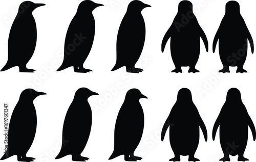 vector illustration of penguin silhouettes from various angles