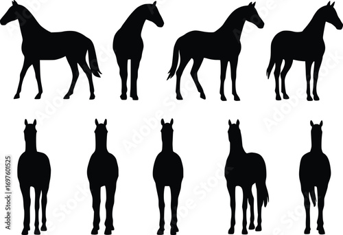 vector illustration of horse silhouette from various angles