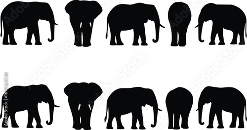 vector illustration of elephant silhouette from various angles