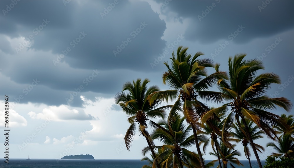 Obraz premium Dramatic Stormy Sky Over Windswept Palm Trees