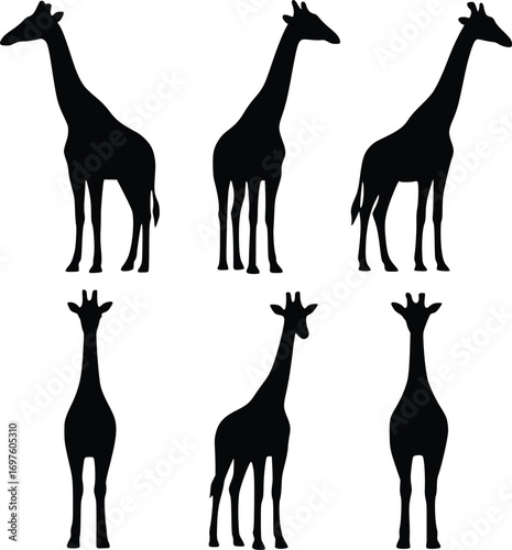 giraffe silhouette vector illustration from various angles