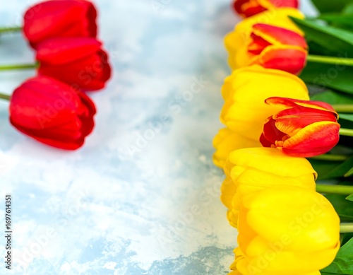 A row of red and yellow tulips on a light blue surface