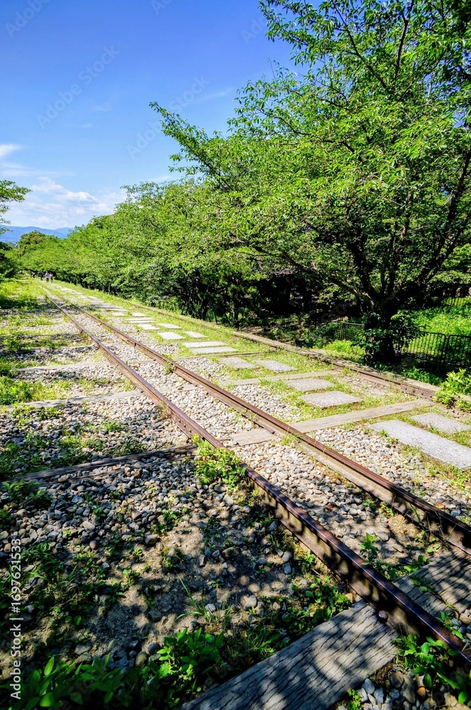 Obraz premium 京都、蹴上インクラインの風景