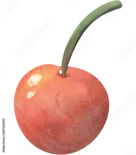 Watercolor illustration of cherry