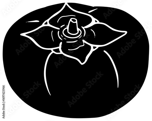 persimmon illustration orange silhouette fruit logo organic icon food outline juicy healthy ripe fresh vegetarian tropical diet raw sweet shape japanese vector graphic background