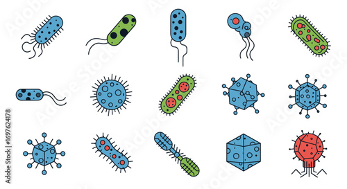 Colorful vector illustration of diverse microorganisms and cells for biological science and