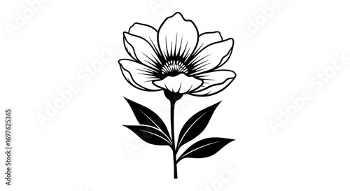 Elegant floral artwork featuring a delicate bloom and foliage outline design
