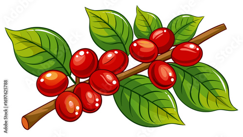 Vibrant red coffee cherries on a branch with green leaves