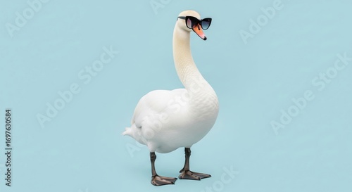 Fototapeta Naklejka Na Ścianę i Meble -  Funny elegant swan wearing cool stylish sunglasses on a light blue background