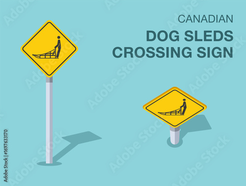 Traffic regulation rules. Isolated canadian "dog sleds crossing" road sign. Front and top view. Flat vector illustration template.