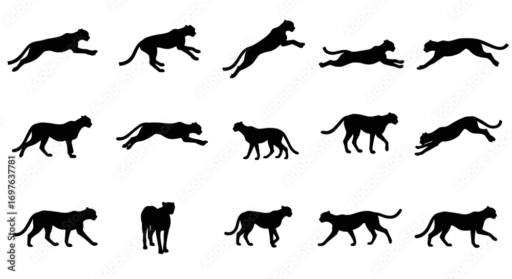 Fototapeta premium Cheetah Set Silhouette Vector Illustration , Animal Wildlife Silhouette Vector
