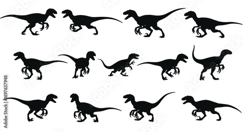 Velociraptor Set Silhouette Vector Illustration , Dinosaur Silhouette Set Collection Vector