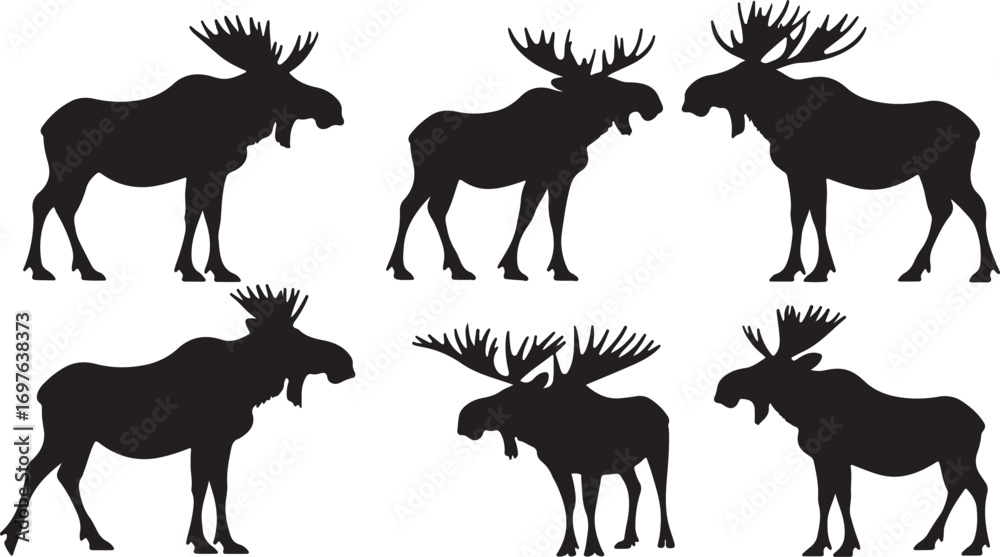 Obraz premium Collection of six black silhouette moose with large antlers standing in various poses on white background