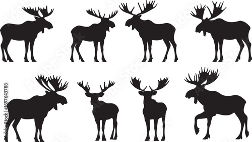 Collection of realistic black silhouette vector illustrations of moose in various poses and sizes