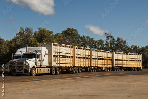 An Australian cattle road train, an extremely long, multi-trailer semi-truck used for transporting livestock over enormous distances in the outback, parked at a roadside stop in Queensland, Australia.
