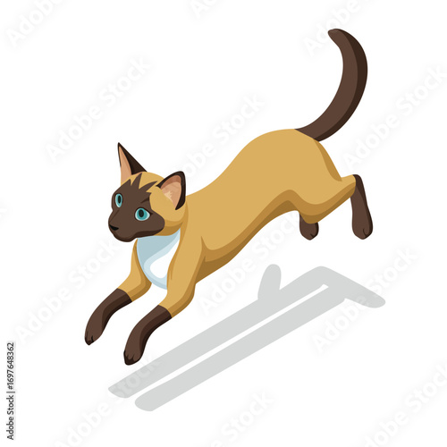 Burmese jump isometric vector illustration with clean geometry and modern design