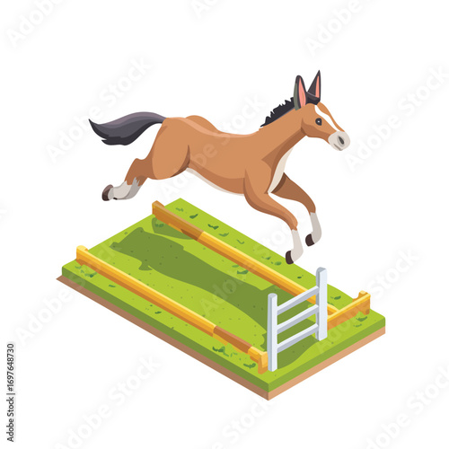 Mule jump isometric vector illustration with clean geometry and modern design