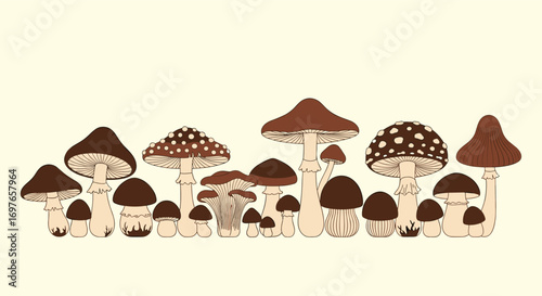 A whimsical woodland scene featuring a delightful array of wild fungi in earthy tones