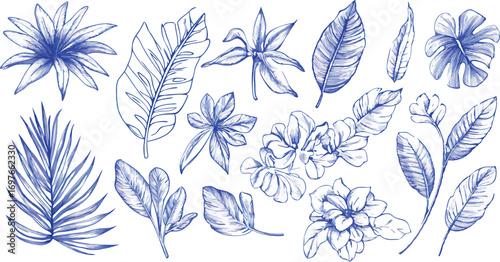 Collection of delicate blue botanical line drawings of flowers and leaves on white background