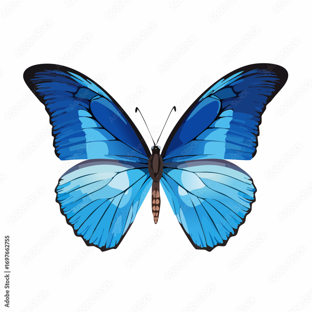 Fototapeta premium blue beautiful butterfly 
