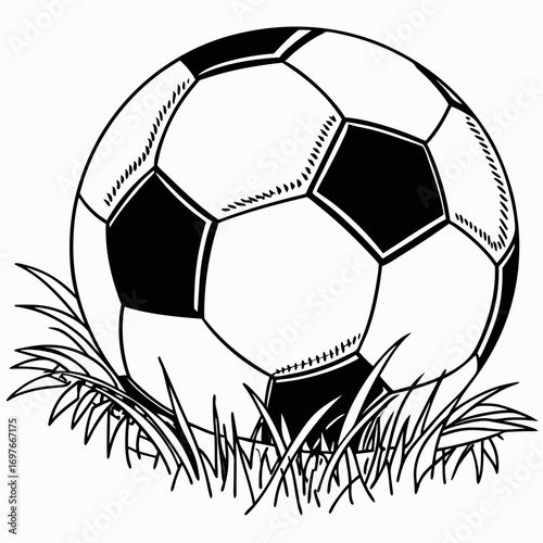 soccer ball vector illustration