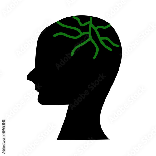 Head Silhouette Nerve Brain