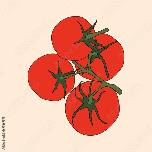 Fresh Red Tomatoes on the Vine