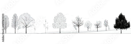 Collection of detailed side view tree silhouettes for landscape design and architectural CAD drawings with varying shapes and sizes in minimalist style vector illustration