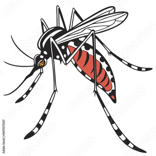 Illustration of a mosquito in vector format
