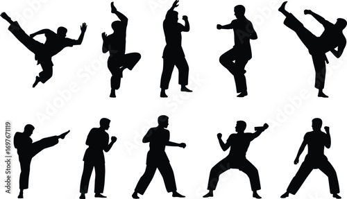 Silhouettes of martial artists performing kicks, punches, stances, and kata moves, showcasing dynamic action, discipline, strength, and self-defense techniques