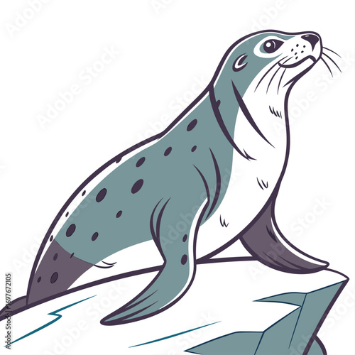 Cute spotted seal sits on ice floe, vector art