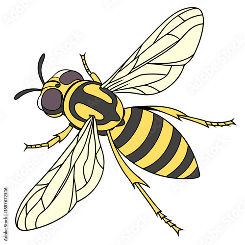 Illustration of a wasp in cartoon style