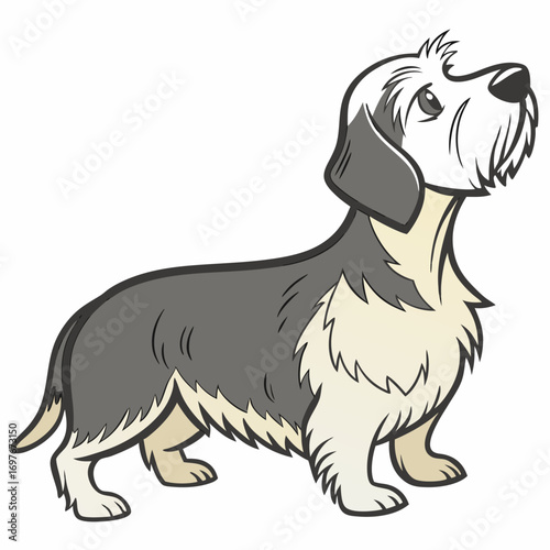 Cartoon illustration of a cute basset griffon vendeen dog looking up
