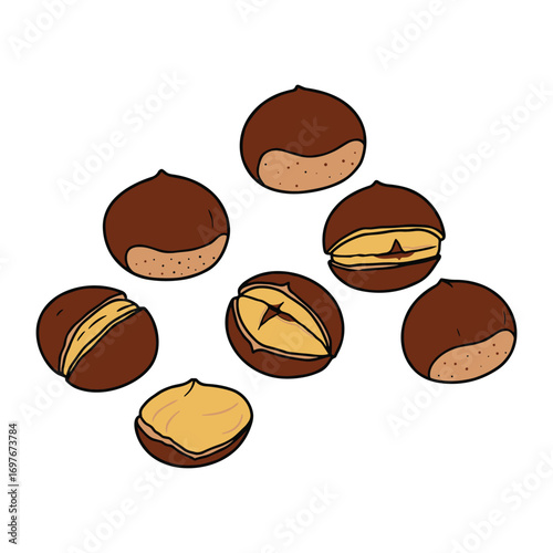 Whole and split chestnuts – stock vector flat illustration