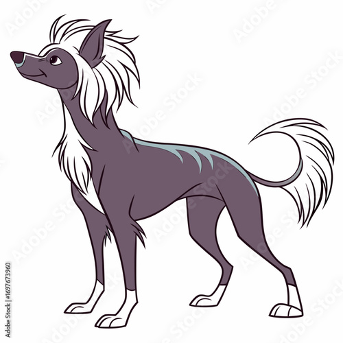 Cartoon chinese crested dog standing looking up
