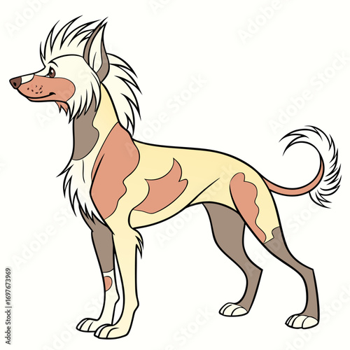 Cartoon chinese crested dog standing looking left