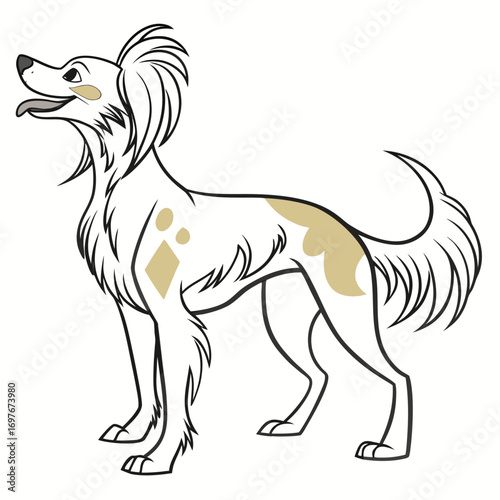 Chinese crested dog standing looking up