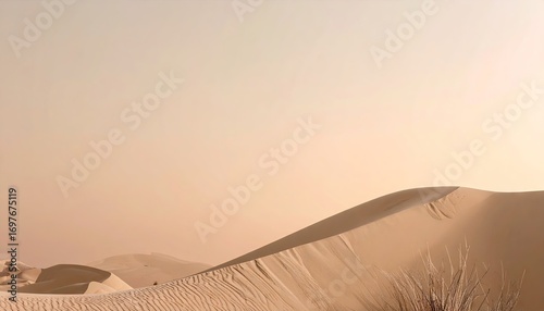 Fototapeta Naklejka Na Ścianę i Meble -  Desert Landscape at Sunrise with Soft Light and Sand Dunes