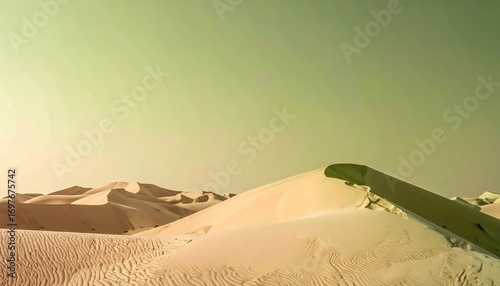 Fototapeta Naklejka Na Ścianę i Meble -  Desert Landscape with Sand Dunes Under a Pale Sky